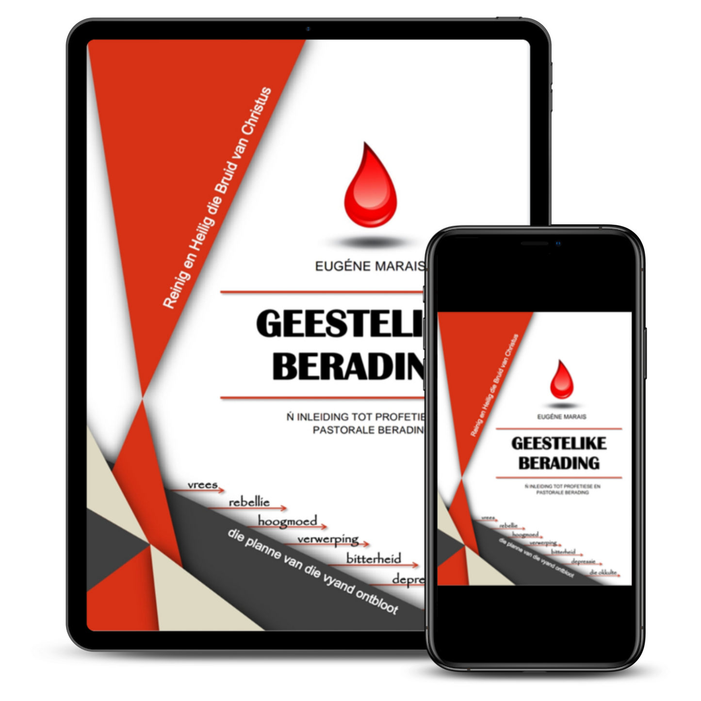 Geestelike Berading eBook