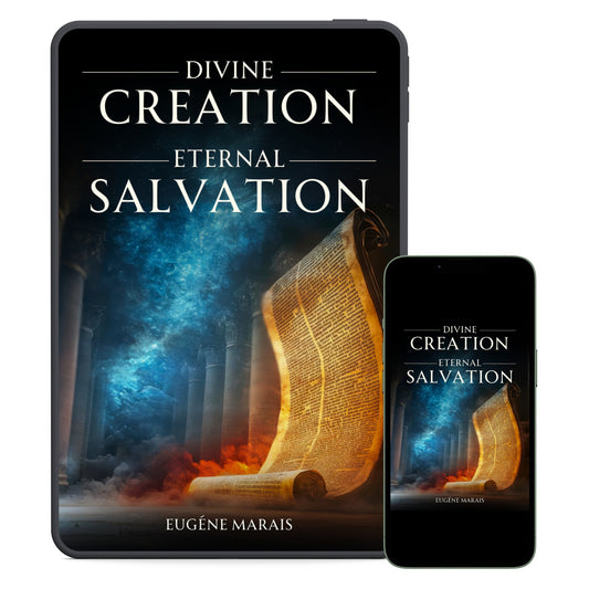 Divine Creation - Eternal Salvation Ebook