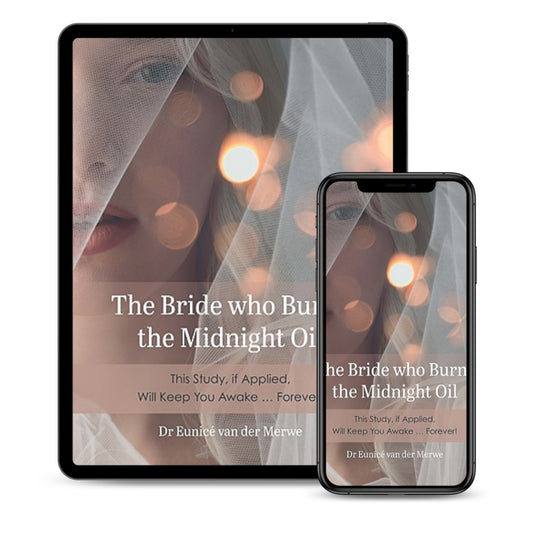 The Bride who Burns the Midnight Oil eBook