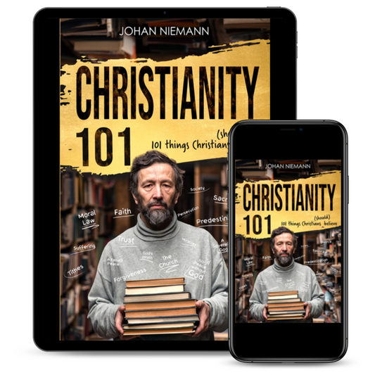 Christianity 101 eBook