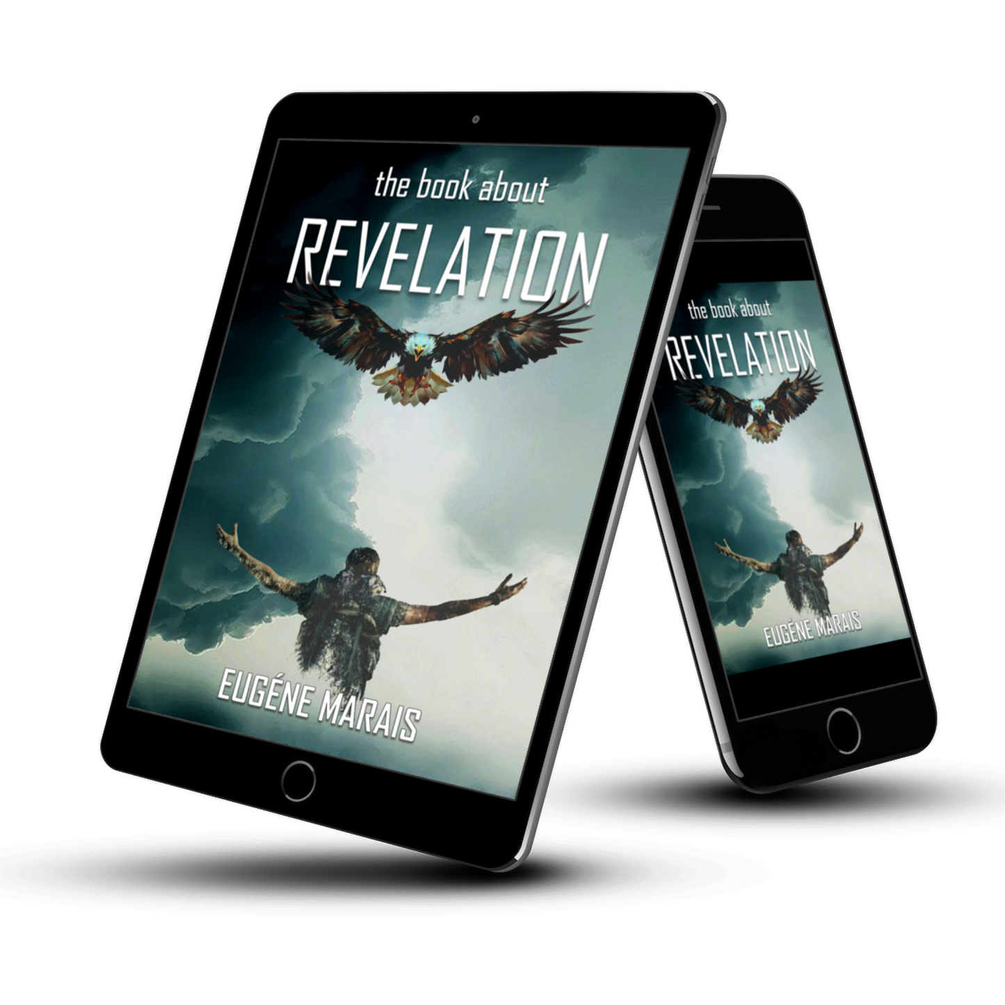 The Book about Revelation eBook